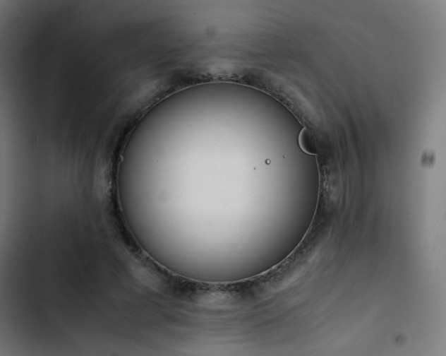 X0000103500593200809121741