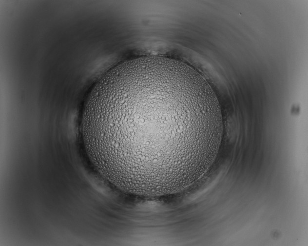 X0000103500594200809121741