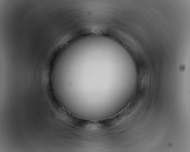 X0000103500595200809121741