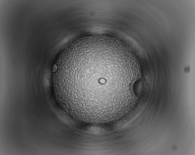 X0000103500596200809121741