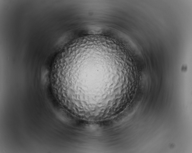 X0000103500598200809121741