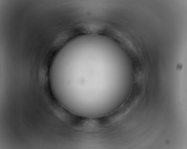 X0000103500599200809121741