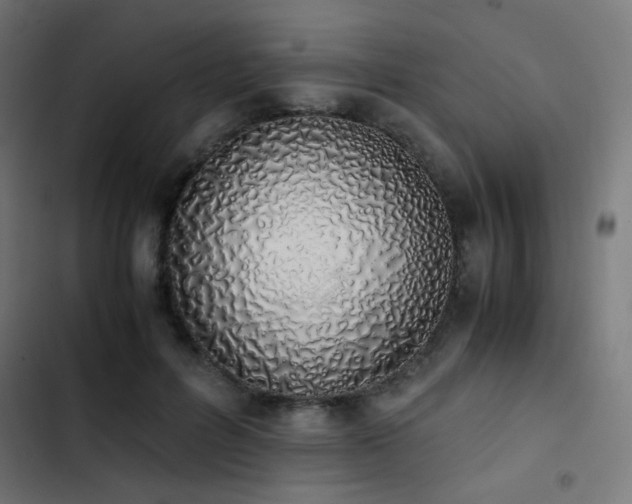 X0000103500600200809121741