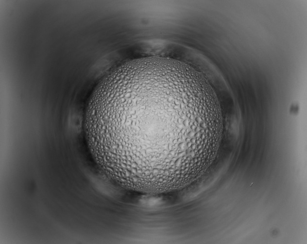 X0000103500602200809121741