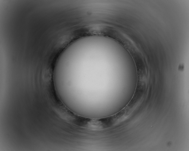 X0000103500603200809121741