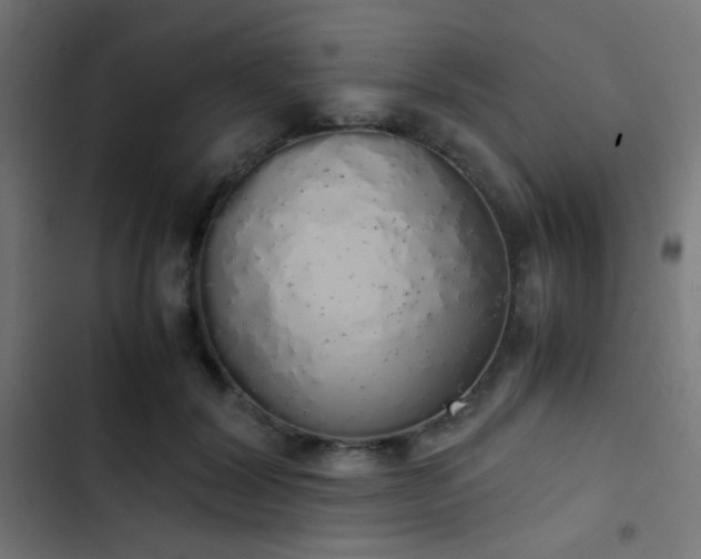 X0000103500604200809121741