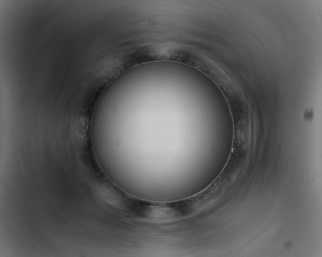 X0000103500605200809121741