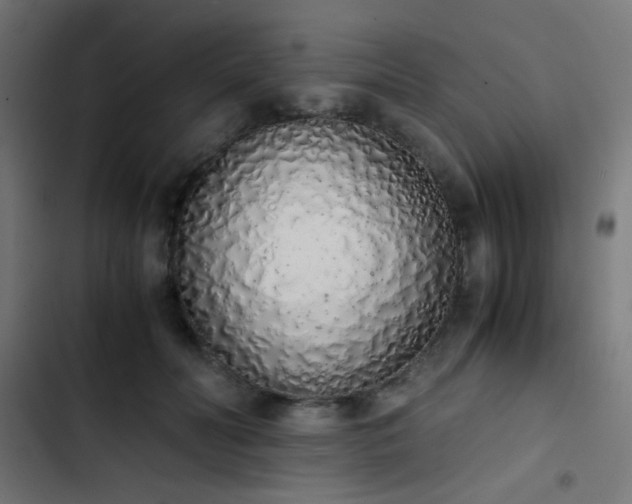 X0000103500606200809121741