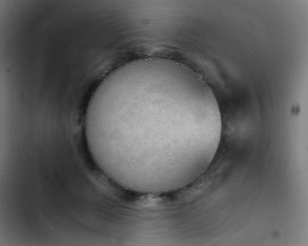 X0000103500607200809121741