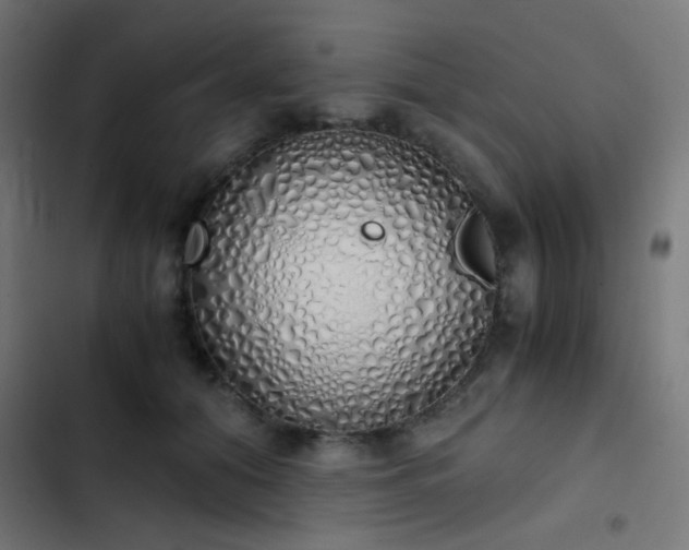 X0000103500608200809121741