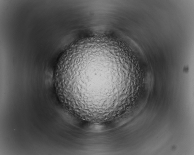 X0000103500610200809121741