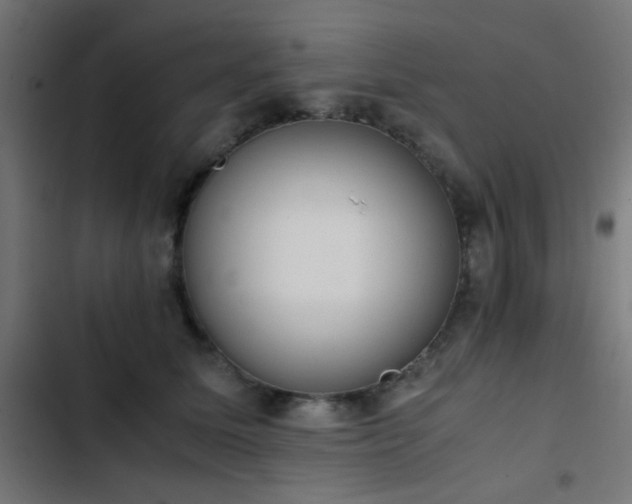 X0000103500611200809121741