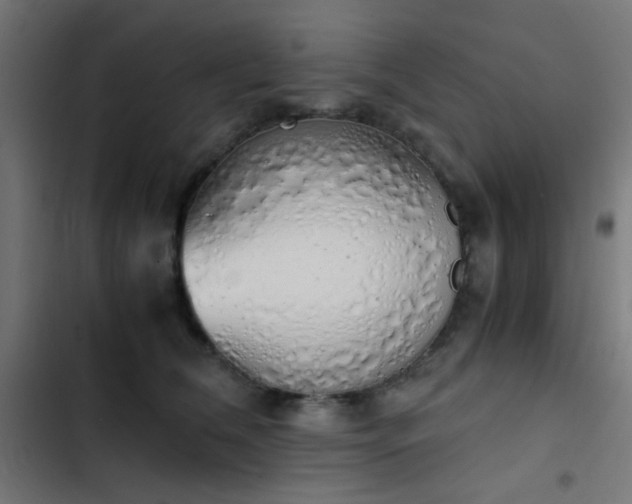 X0000103500612200809121740