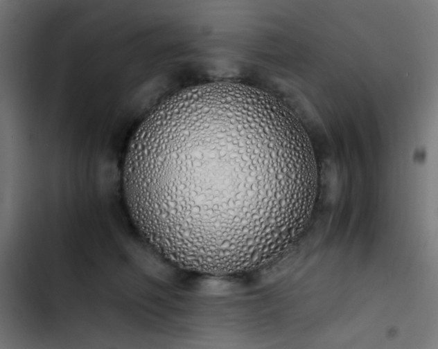 X0000103500614200809121740