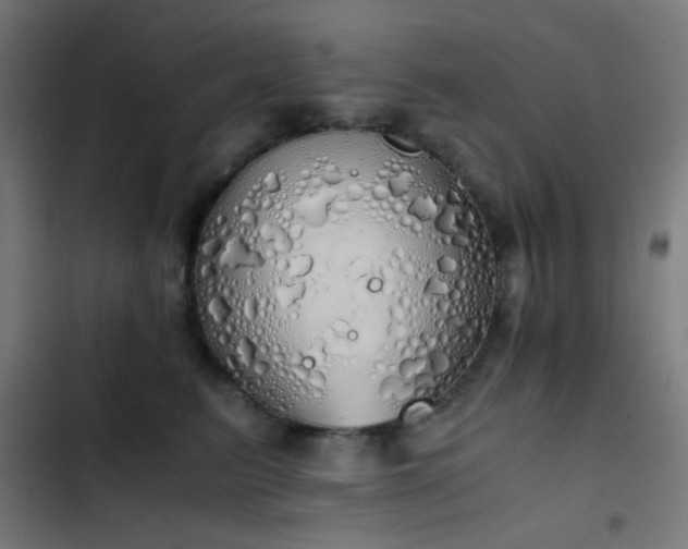 X0000103500615200809121740