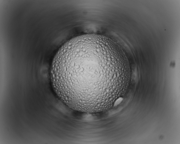 X0000103500616200809121740