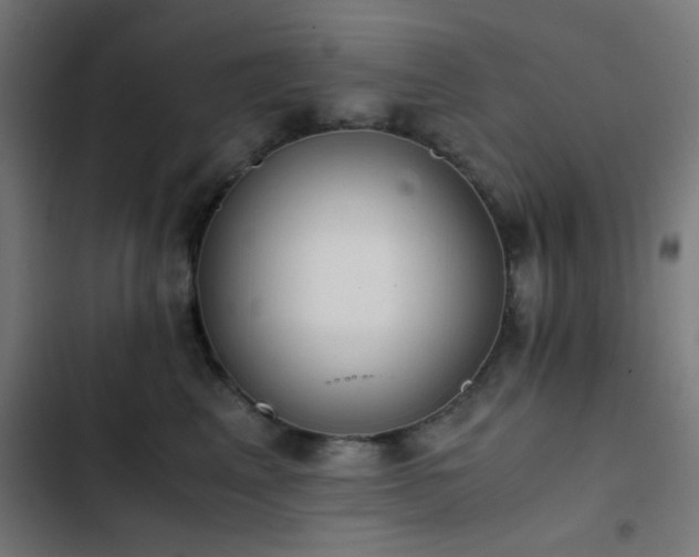 X0000103500617200809121740