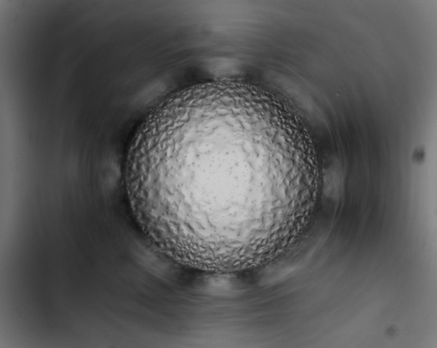 X0000103500618200809121740