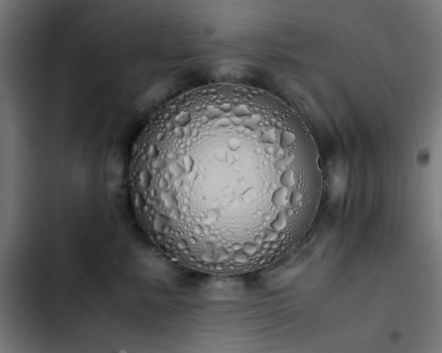 X0000103500619200809121740