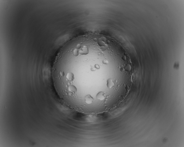 X0000103500623200809121740