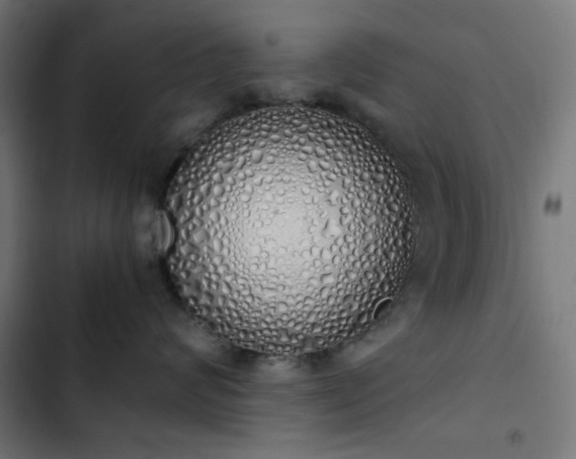 X0000103500624200809121740