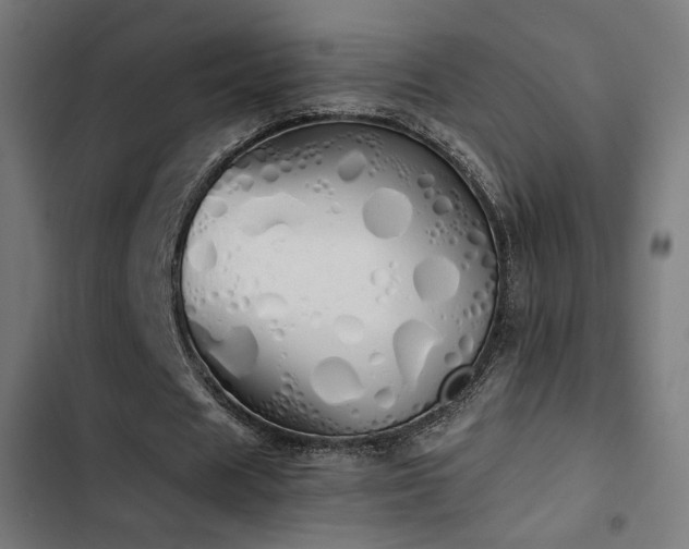 X0000103500625200809121739