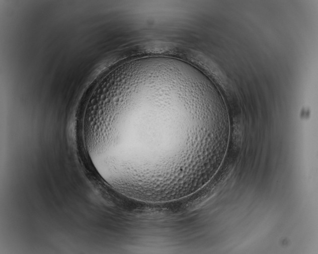 X0000103500626200809121739