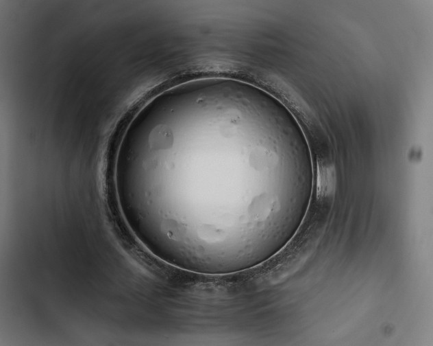 X0000103500627200809121740