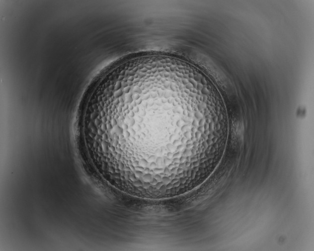 X0000103500628200809121740