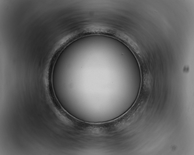 X0000103500629200809121740