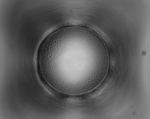 X0000103500630200809121740