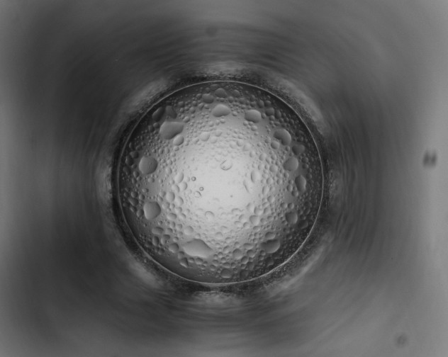 X0000103500633200809121740