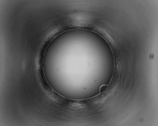 X0000103500635200809121740