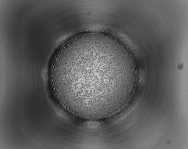 X0000103500636200809121740