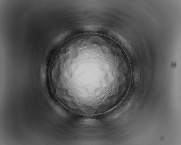 X0000103500637200809121740