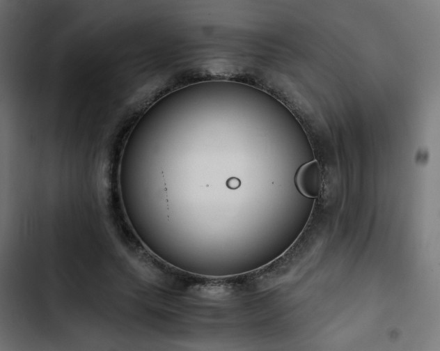 X0000103500639200809121740