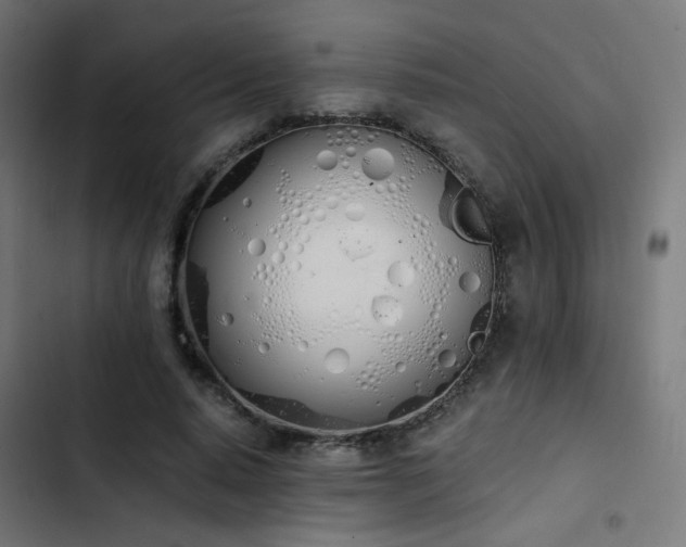 X0000103500640200809121740