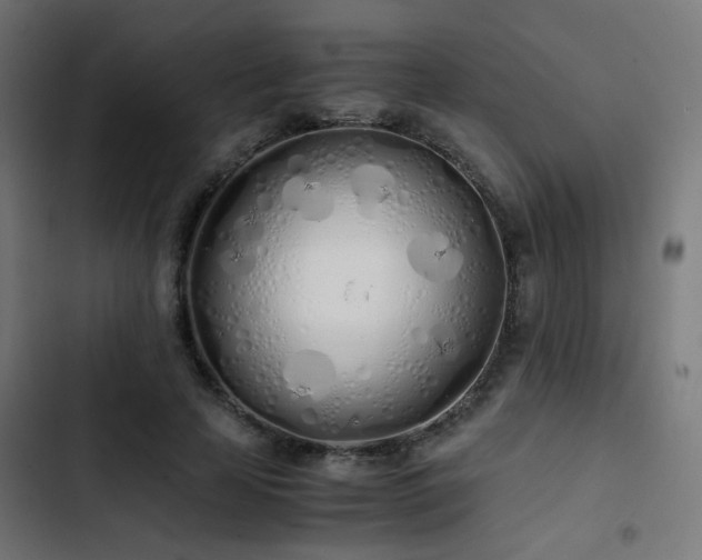 X0000103500641200809121740