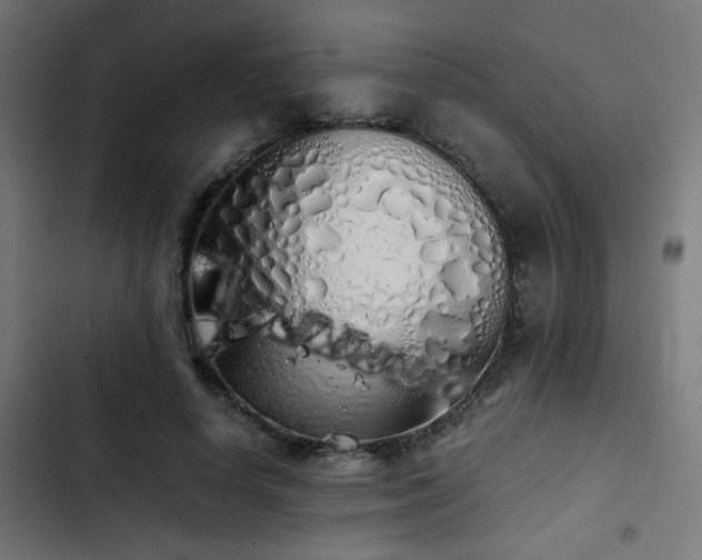 X0000103500642200809121740