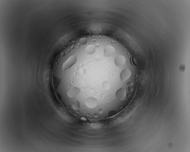 X0000103500645200809121740