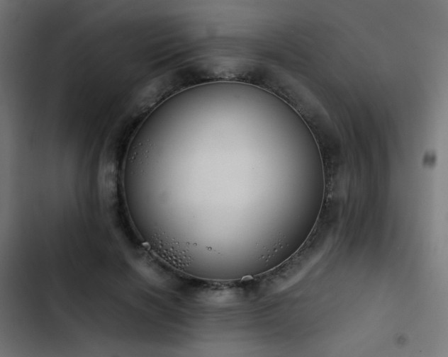 X0000103500646200809121740