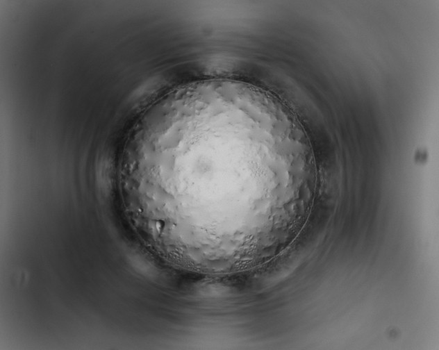 X0000103500648200809121740