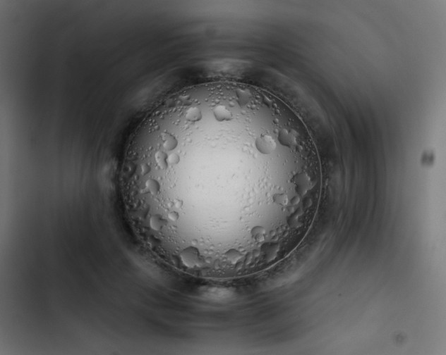 X0000103500649200809121740