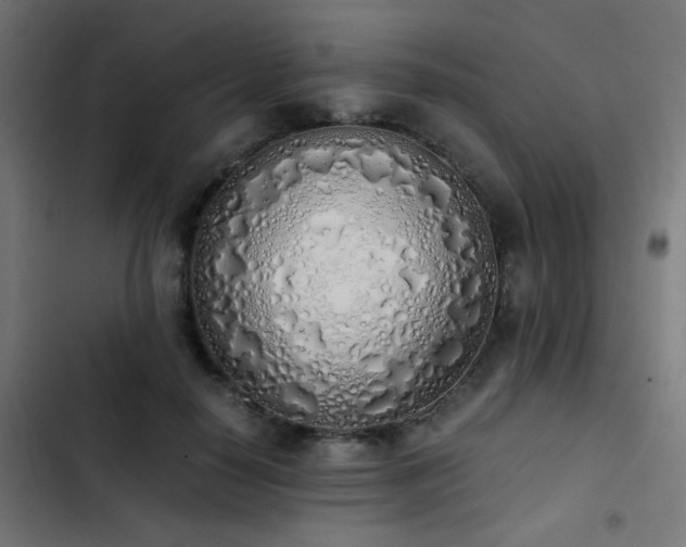 X0000103500650200809121740