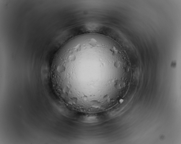 X0000103500651200809121740