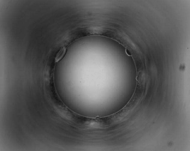 X0000103500655200809121740