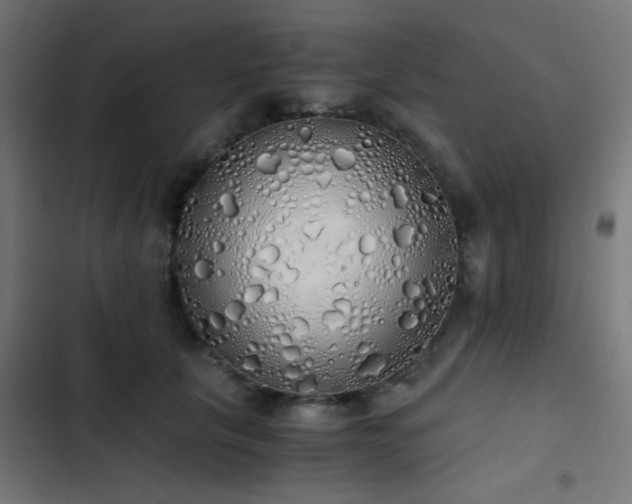 X0000103500657200809121740