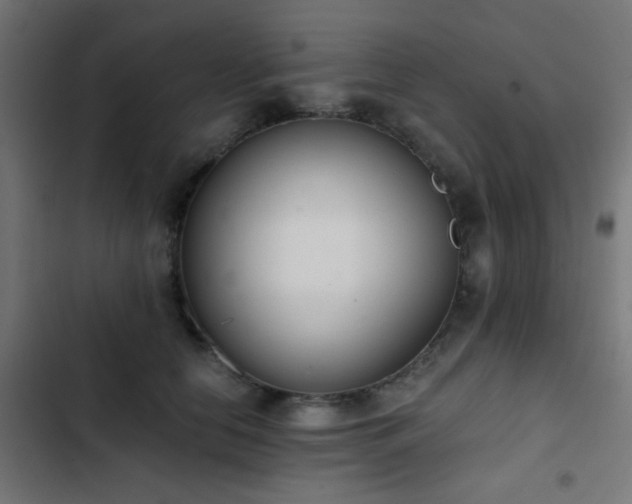 X0000103500658200809121740