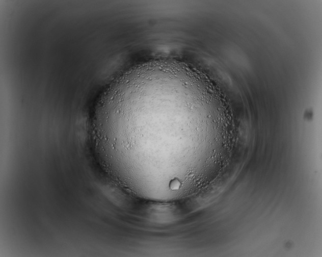 X0000103500659200809121740