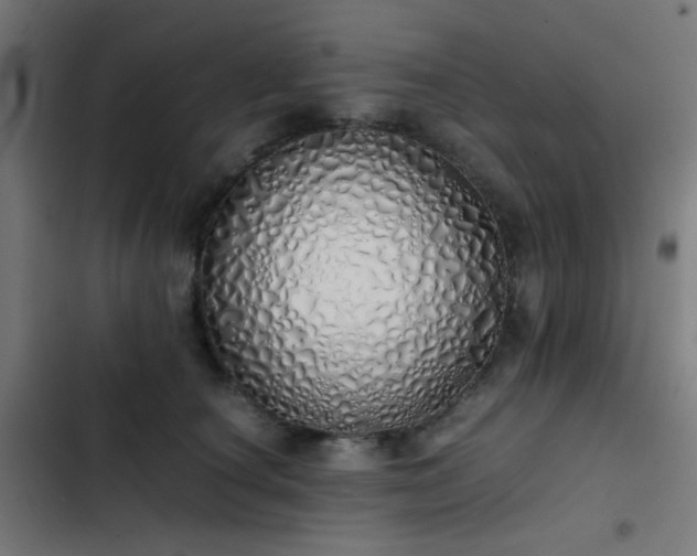 X0000103500660200809121740